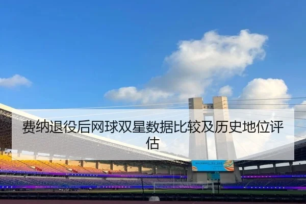 费纳退役后网球双星数据比较及历史地位评估（loltouzhu）